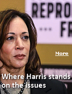 Most Democrats have backed Kamala Harris, who announced her 2024 campaign for president shortly after Biden penned a letter explaining his decision to exit the 2024 race. Depending on who you ask, Harris is viewed as a moderate or a progressive reformer.